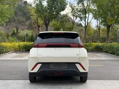 2024 BYD Seagull Honor 305km Vitality, белый — фото 18