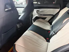 2024 BYD Song PLUS Honor Edition EV 520km Premium — фото 6