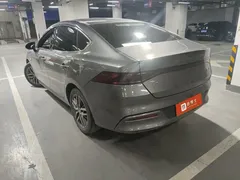 2021 BYD Qin PLUS EV 500KM Luxury — фото 9