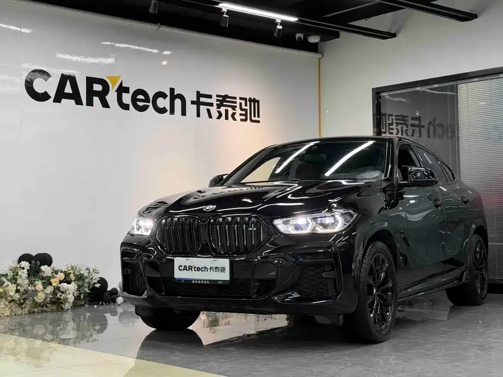 2022 BMW X6