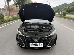 2021 Changan Eado PLUS Blue Whale NE 1.4T GDI DCT Flagship, чёрный — фото 8