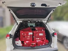 2023 Toyota Corolla Cross 2.0L, белый — фото 15