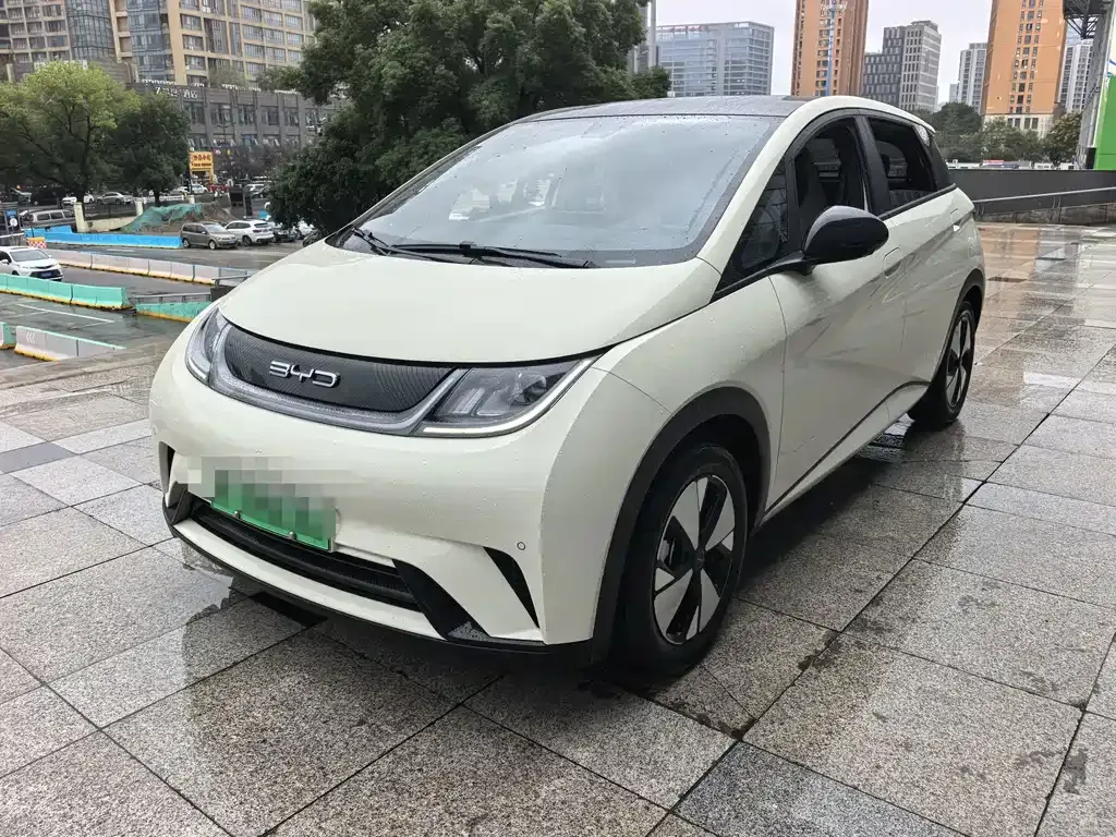 2023 BYD Dolphin 420km Fashion