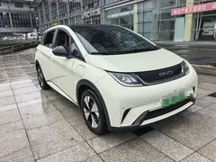 2023 BYD Dolphin 420km Fashion, белый — фото 3