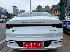 2021 BYD Qin PLUS EV 500KM Luxury, белый — фото 5