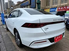 2021 BYD Qin PLUS EV 500KM Luxury, белый — фото 6