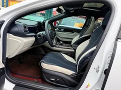 2021 BYD Qin PLUS EV 500KM Luxury, белый — фото 8