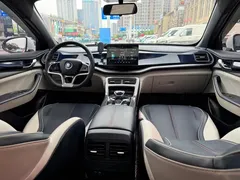 2021 BYD Qin PLUS EV 500KM Luxury, белый — фото 11