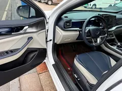 2021 BYD Qin PLUS EV 500KM Luxury, белый — фото 14