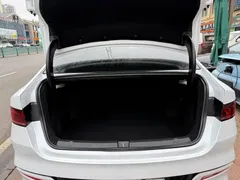 2021 BYD Qin PLUS EV 500KM Luxury, белый — фото 15