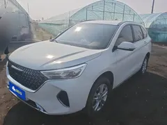 2021 Haval M6 Plus 1.5T DCT Luxury, белый — фото 1