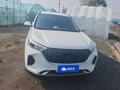 2021 Haval M6 Plus 1.5T DCT Luxury, белый — фото 2