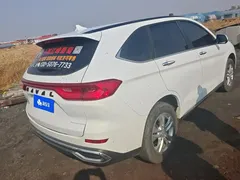 2021 Haval M6 Plus 1.5T DCT Luxury, белый — фото 3