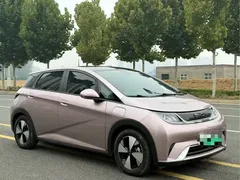 2023 BYD Dolphin 420km Fashion — фото 3