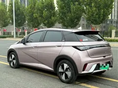2023 BYD Dolphin 420km Fashion — фото 7