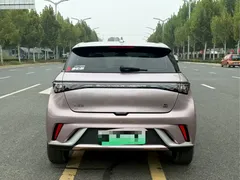 2023 BYD Dolphin 420km Fashion — фото 8
