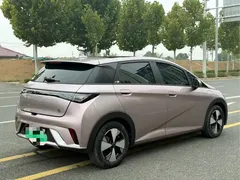 2023 BYD Dolphin 420km Fashion — фото 9
