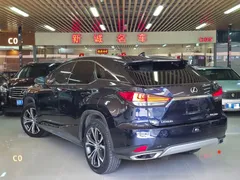 2020 Lexus RX 300 4WD Elegant, синий — фото 4