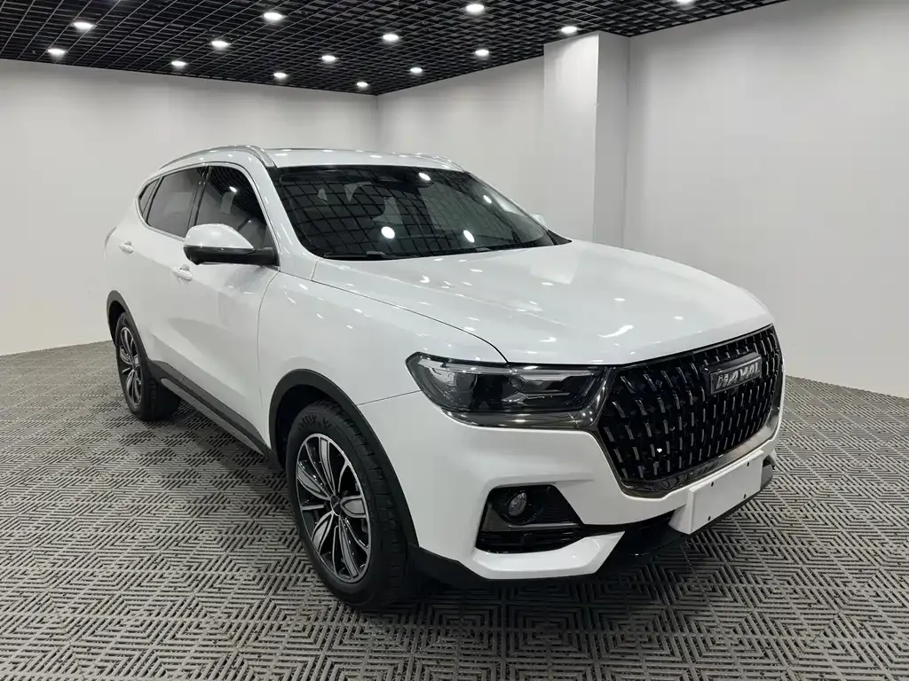 2023 Haval H6 1.5T AT Guochao Champion