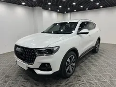 2023 Haval H6 1.5T AT Guochao Champion, белый — фото 3