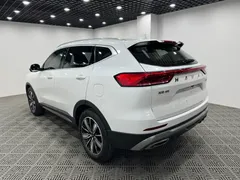 2023 Haval H6 1.5T AT Guochao Champion, белый — фото 9