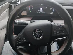 2023 BYD Song Pro Champion DM-i PHEV 71km — фото 15