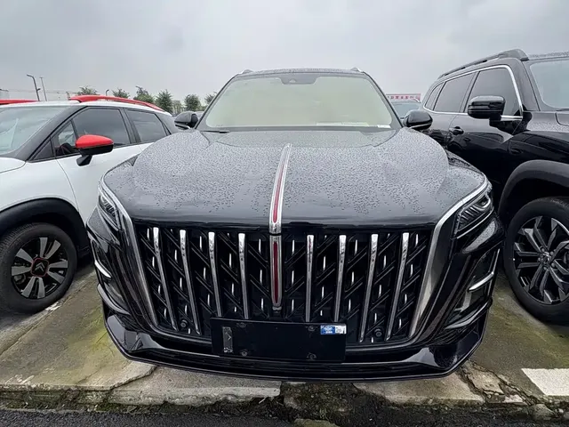 2023 Hongqi HS5 2.0T Pro