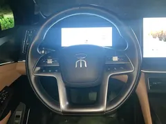 2024 BYD Song L PHEV 112km — фото 15