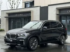 2022 BMW X5 30Li Premium M Sport Package, чёрный — фото 5