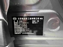2022 BYD Yuan PLUS 510km Premium — фото 31