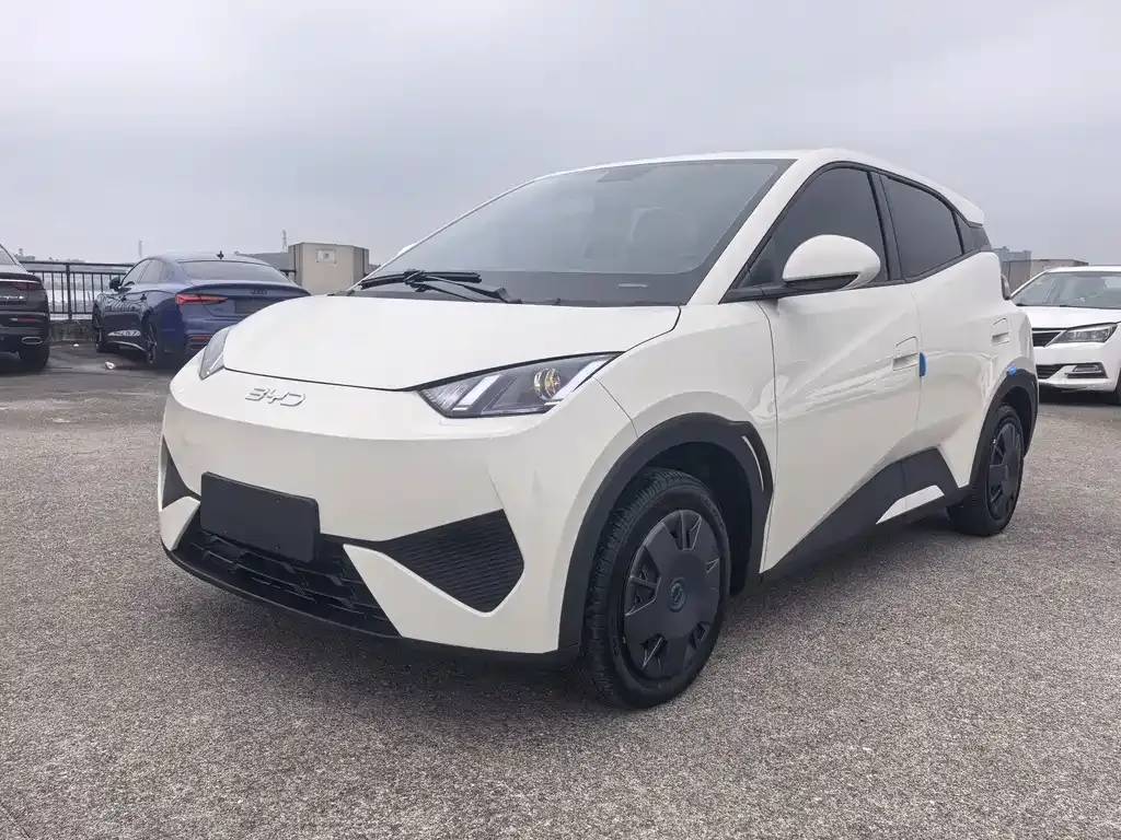 2025 BYD Seagull EV 305km