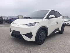 2025 BYD Seagull EV 305km, белый — фото 1