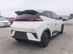 2025 BYD Seagull EV 305km, белый — фото 6