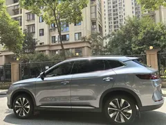 2025 BYD Song PLUS EV 520km Premium — фото 14