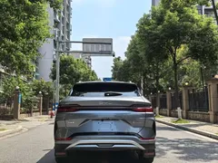 2025 BYD Song PLUS EV 520km Premium — фото 16