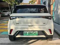 2024 BYD Dolphin Honor 420km Fashion, белый — фото 9