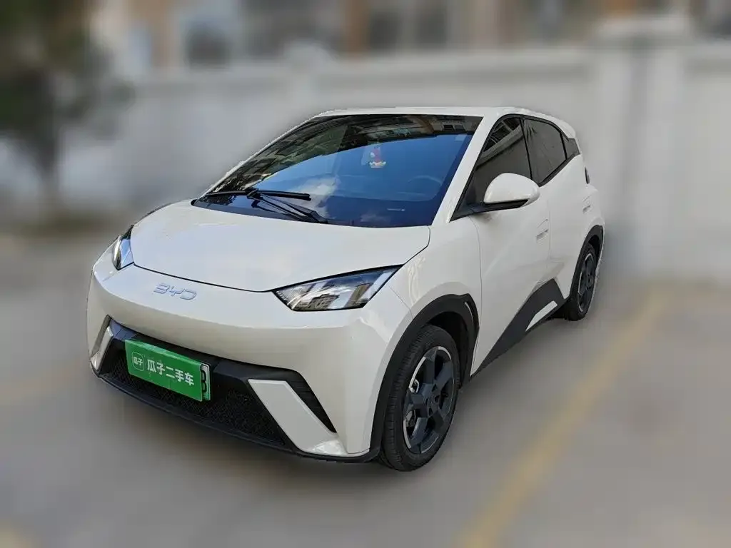 2024 BYD Seagull EV 305km Honor Freedom
