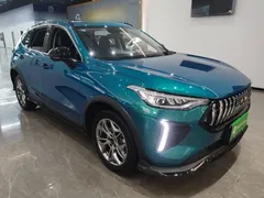2022 Haval Chitu 1.5T, синий — фото 22