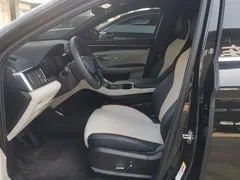 2024 BYD Song PLUS Honor DM-i PHEV 110km Flagship, чёрный — фото 9