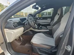 2023 BYD Qin PLUS Champion DM-i PHEV 55KM Leading — фото 4