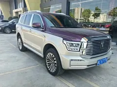 2023 Tank 500 3.0T Special Custom Edition 5-seat — фото 3