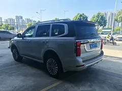 2023 Tank 500 3.0T Special Custom Edition 5-seat — фото 4