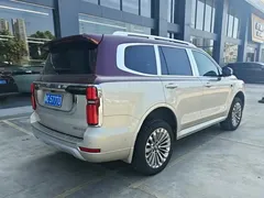 2023 Tank 500 3.0T Special Custom Edition 5-seat — фото 5
