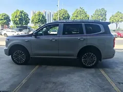 2023 Tank 500 3.0T Special Custom Edition 5-seat — фото 7