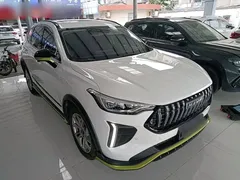 2022 Haval Chitu 1.5T, белый — фото 4