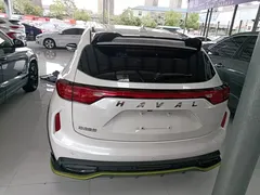 2022 Haval Chitu 1.5T, белый — фото 6