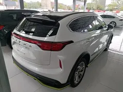 2022 Haval Chitu 1.5T, белый — фото 7