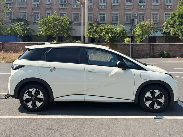 2025 BYD Dolphin 420km Freedom