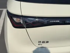 2025 BYD Dolphin 420km Freedom, белый — фото 31
