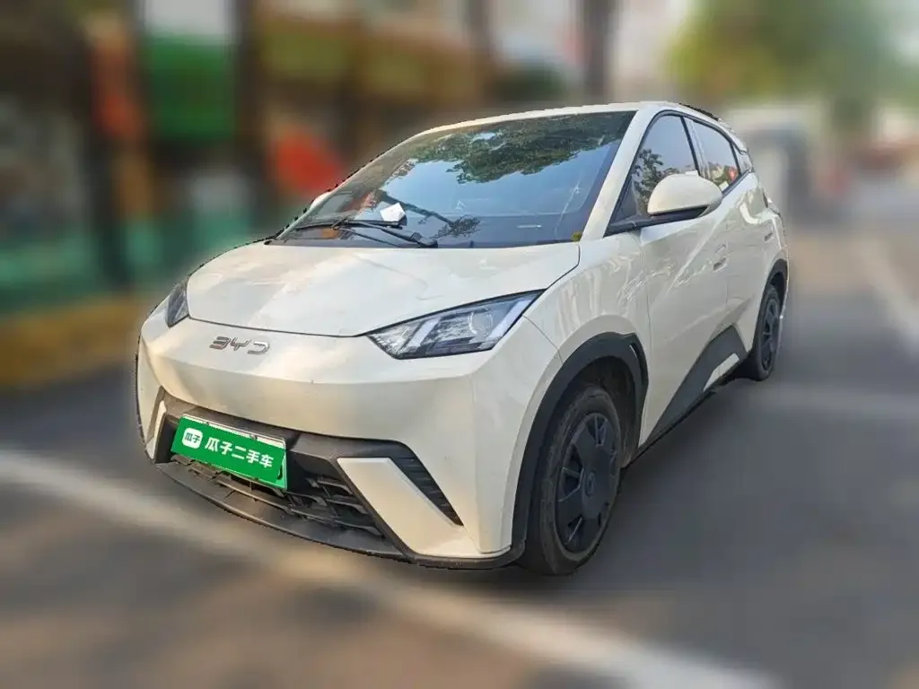 2025 BYD Seagull 305km Vitality